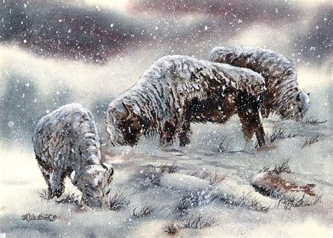 Buffalo Painting - Buffalo in Snow by Jill Westbrook | Snow art ...