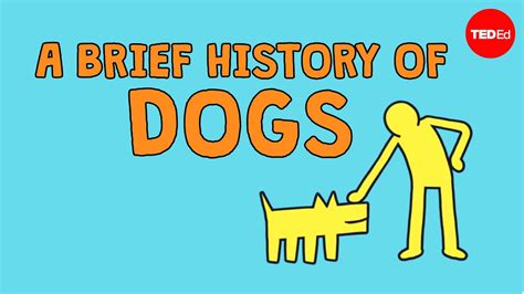 A Brief History of Dogs – memes