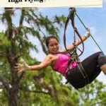 TreeUmph! Adventure Course: High-Flying Fun in Bradenton