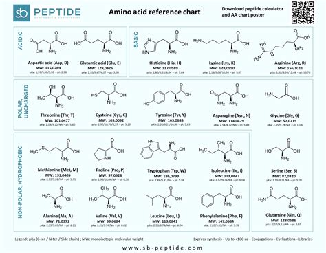 Amino Acid Chart Image at George Dwyer blog