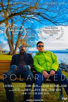 Polarized (2018) | GoldPoster