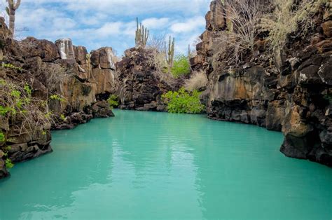 Las Grietas, a geological canyon formation, great for swimming, in Puerto Ayora, Santa Cruz ...