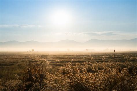 Premium Photo | Sunrise on field mountain