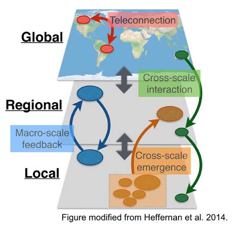 Macrosystems EDDIE