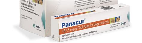 Panacur® 187.5 mg/g Oral Paste for Dogs and Cats | MSD Animal Health HUB