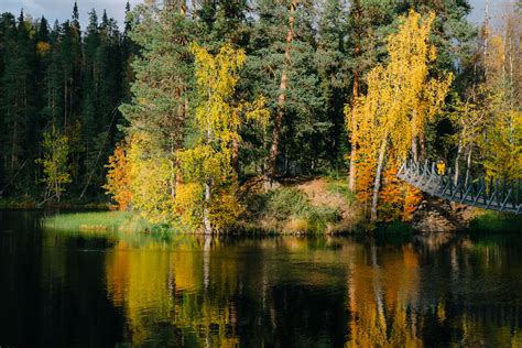 Autumn in Finland | All Secrets of Finnish Autumn Revealed – Gofinland Blog