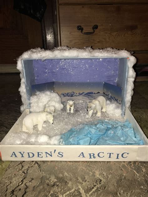 Arctic Diorama ️ | Science projects for kids, Diorama kids, Habitats ...