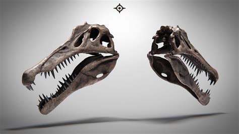 ArtStation - Spinosaurus Skull