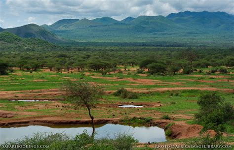 Tsavo West National Park – Travel Guide, Map & More!