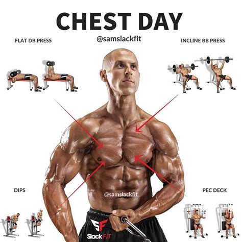 Pin by ChrisVo on Fitness/Bodybuilding | Best chest workout, Workout programs, Shoulder workout