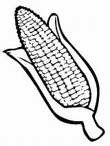Corn Coloring Pages Printable PDF  Coloringfoldercom sketch template