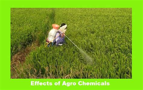 Agro Chemicals Archives - AgroChemicalInfo