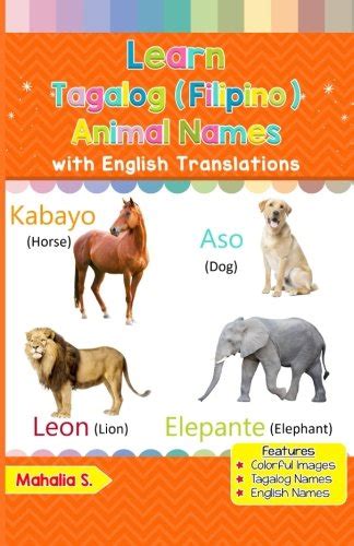 Learn Tagalog (Filipino) Animal Names: Colorful Pictures & English Translations (Tagalog ...