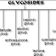 Classification of Glycosides | Download Scientific Diagram