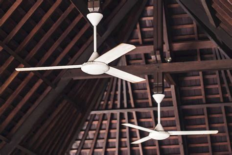 The Common Types of Ceiling Fans Explained - In NewsWeekly