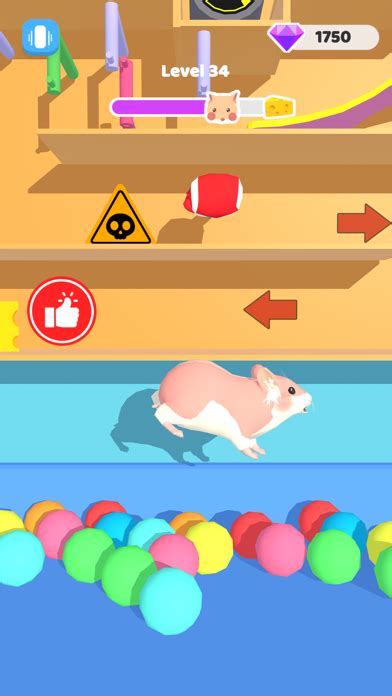 Télécharger Hamster Maze Run pour iPhone / iPad sur l'App Store (Jeux)