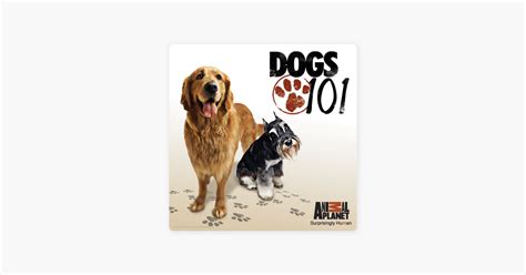 ‎Dogs 101, Season 2 on iTunes