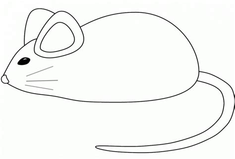 Mouse sketch. Nature. Drawings. Pictures. Drawings ideas for kids. Easy and simple.