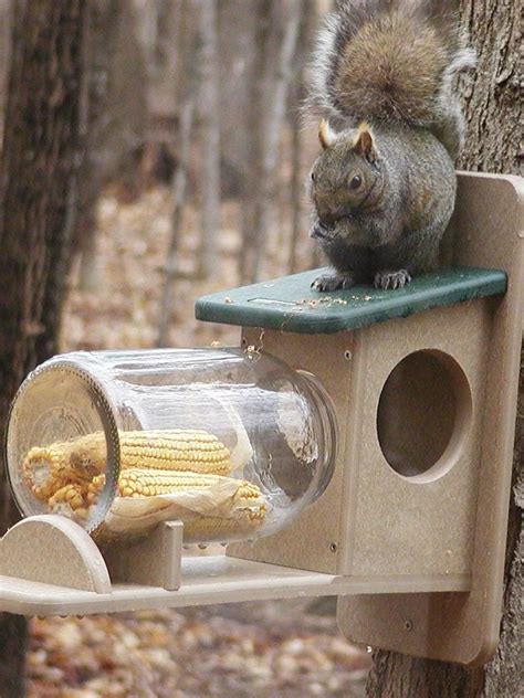 Birds Choice Squirrel Jar Feeder | Gardener's Supply