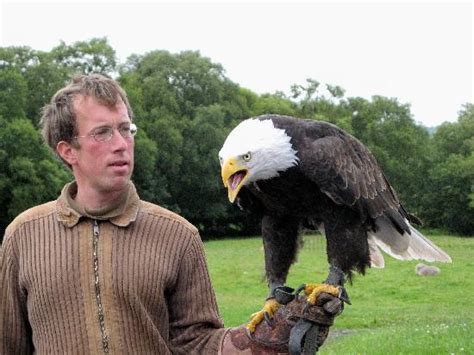 Eagles Flying (Ballymote) - 2020 All You Need to Know BEFORE You Go (with Photos) - Tripadvisor