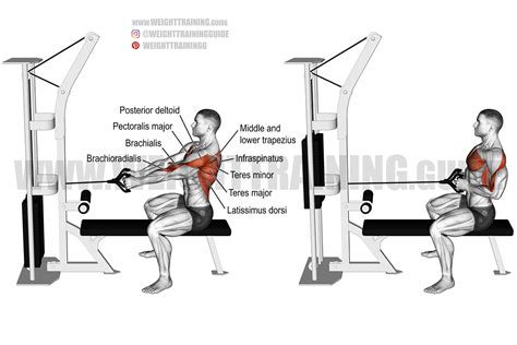 Straight-back seated cable row exercise instructions and video | Weight Training Guide