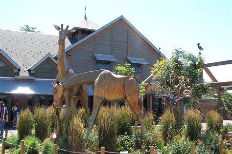 Denver Zoo - Clio