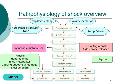 Pathophysiology Of Shock