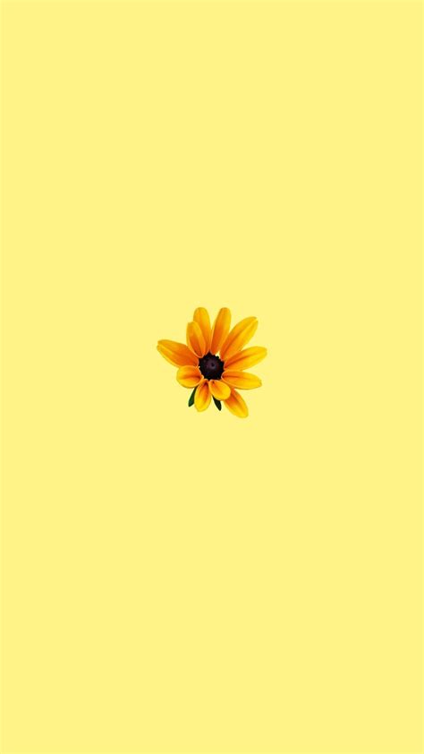 Yellow Wallpaper Pastel Yellow Aesthetic Backgrounds | Meriang Wall