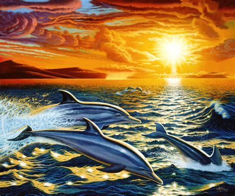 Wallpaper Dolphin Sunset - WallpaperSafari