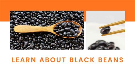 The Wonderful Health Benefits Of Black Beans | Nuts And Snacks Singapore