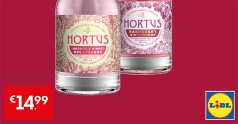 Lidl is selling bargain pink gin for just €14.99 - RSVP Live