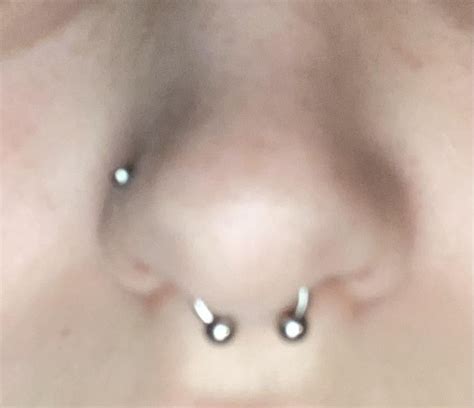 correct septum placement? : r/piercing