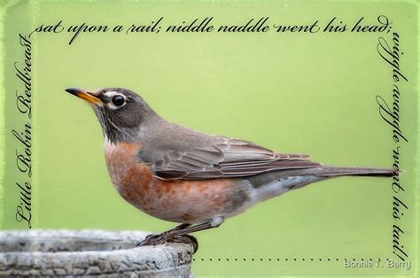 "Little Robin Redbreast Nursery Rhyme" by Bonnie T. Barry | Redbubble