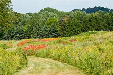 Yellow River State Forest Horse Trails | Top Horse Trails | Top Horse Trails