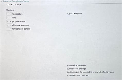 Solved nociceptors A. pain receptors lens proprioceptors | Chegg.com