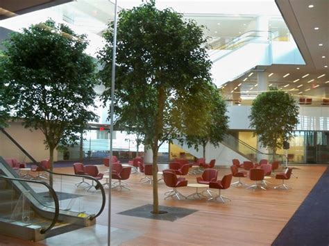 InteriorScapes & Office Plants - Evergreen Environments