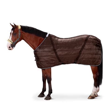 Eskadron NYLON WINTER STABLE RUG 240G - EQUISHOP Equestrian Shop