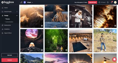 How to Embed Instagram Feed on Squarespace Website