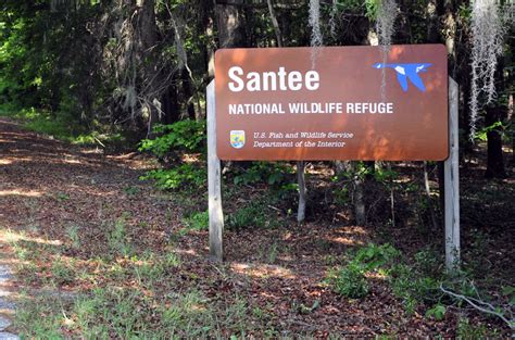 Santee National Wildlife Refuge - Exhibits, Trails, Wildlife Observation