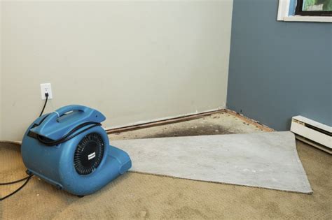 Saving flooded carpet - Cleanfax