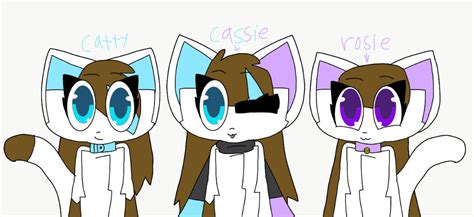 Catty, Cassie, and Rosie by sandralugo34556 on DeviantArt