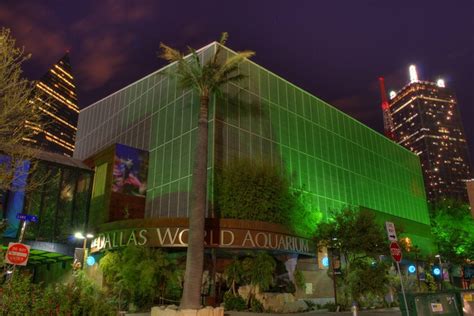 Dallas World Aquarium – Dallas West End