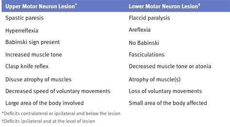 Upper motor neuron lesions vs lower... - Learning Anatomy | Facebook