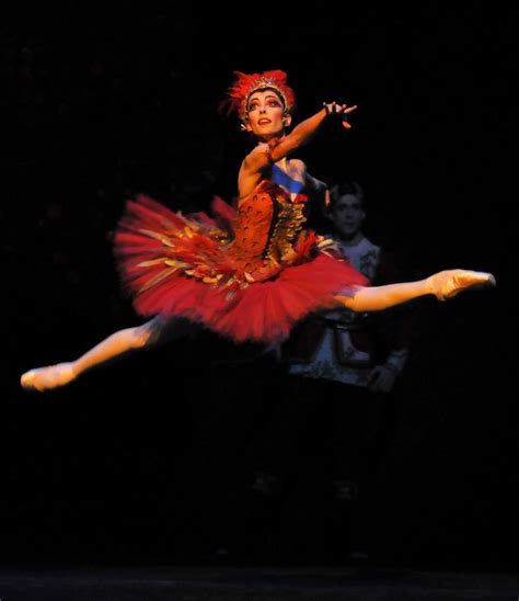 Royal Ballet - Firebird mix bill | Royal ballet, Firebird, Ballet