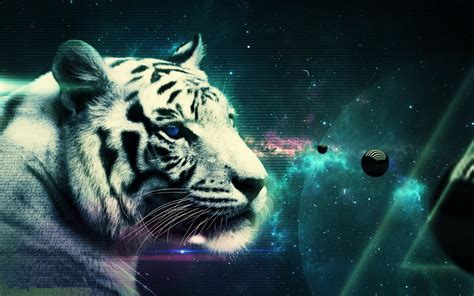 White Tiger Wallpaper Hd - WallpaperSafari