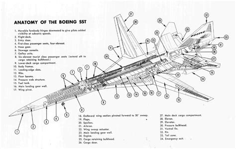 **Boeing's Future SST Designs!**