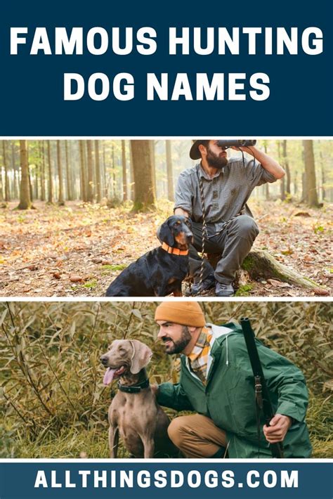 Famous Hunting Dog Names | Hunting dog names, Dog names, Hunting dogs breeds