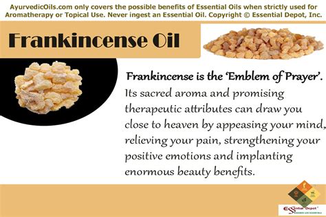 Health benefits of Frankincense essential oil | Essential Oil