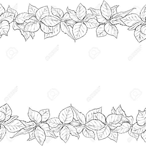 Rose Border Drawing at GetDrawings | Free download