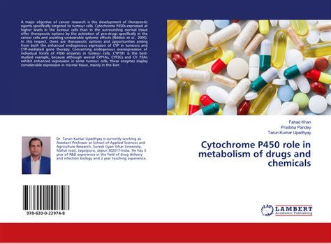 (PDF) Cytochrome P450 role in metabolism of drugs and chemicals